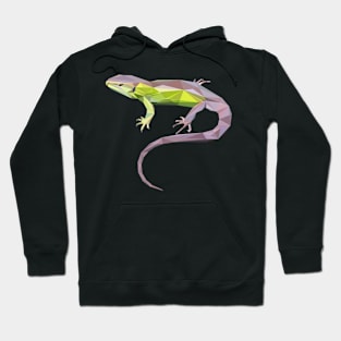 Sand Lizard Hoodie